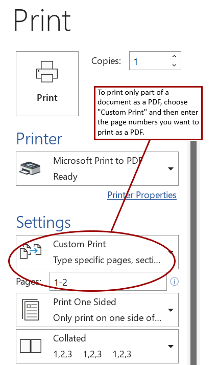 Print screen showing specific page selection on a PC